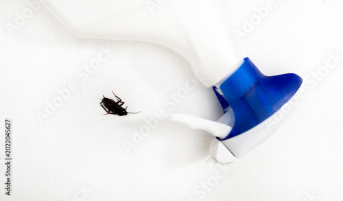 Fotografía Spraying a cockroach with chemical insecticide from a plastic bottle