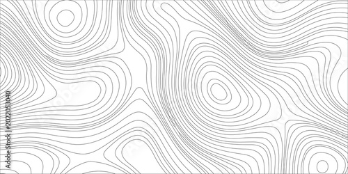 Canvastavla Contour lines create a dynamic, abstract topography
