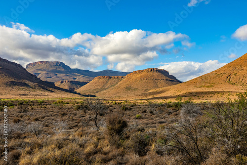 Bild auf Leinwand View of Arid desert landscape in the Karoo