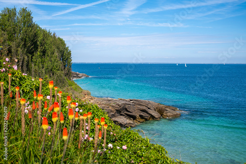 Paysage de bord de mer sur la côte rocheuse de l'île de Groix en Bretagne.