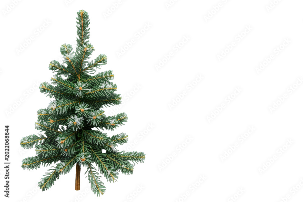 Fototapeta premium Christmas fir tree on transparent background. Green pine decorated with snow dots presenting winter holiday nature and festive season