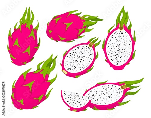 Dragon Fruit Illustration Fresh Exotic Fruit.