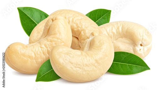 Raw cashew nuts with green leaves.