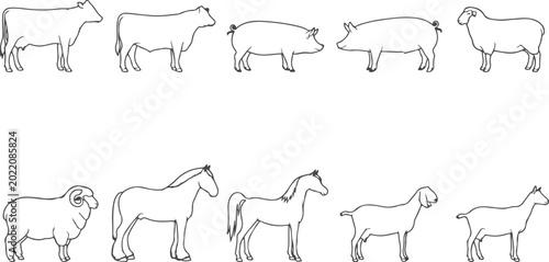 Fényképezés Farm animals set standing and lying down cows horses pigs sheep outline illustrations on transparent background