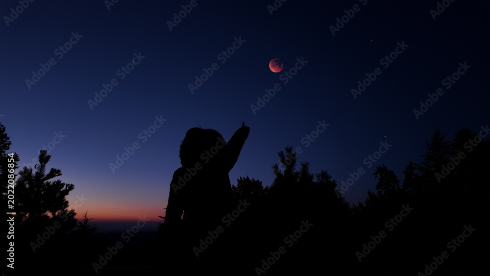 Fototapeta premium Amateur astronomer observing stars, planets, Moon and other celestial objects.