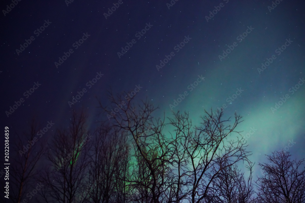 Fototapeta premium Aurora borealis, polar lights with Milky Way stars.