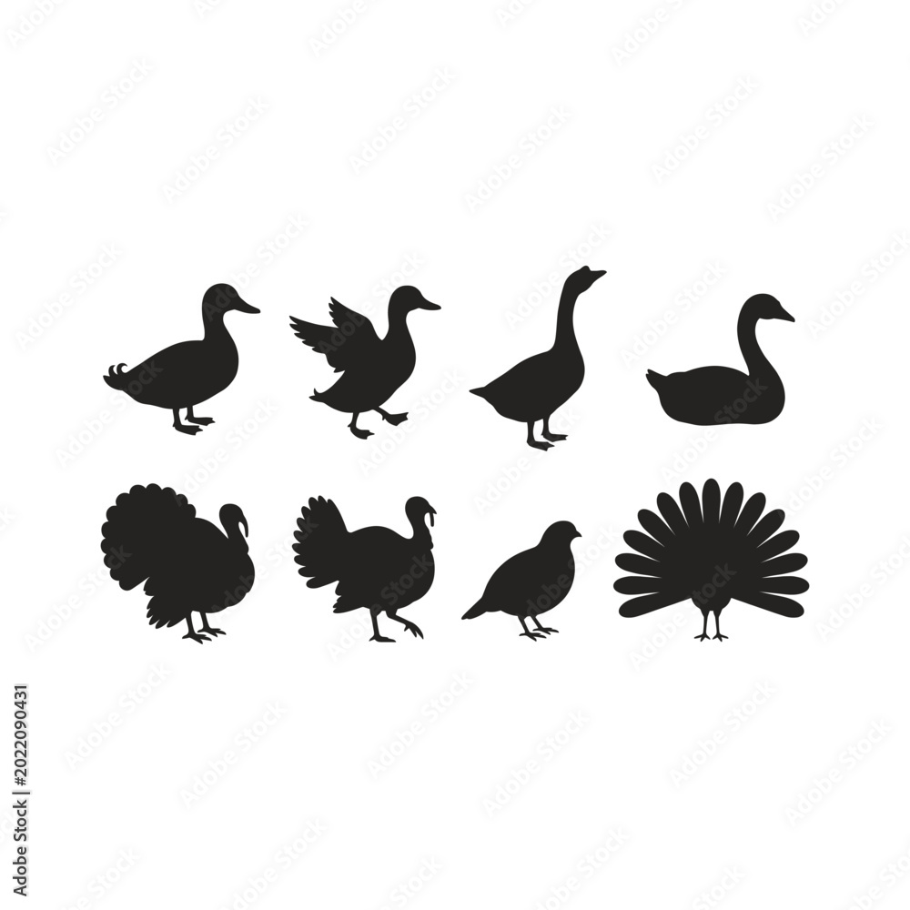 Fototapeta premium Bird Silhouette Set Duck Goose Turkey Peacock Black Flat Icons Poultry Wildlife Vector Illustration