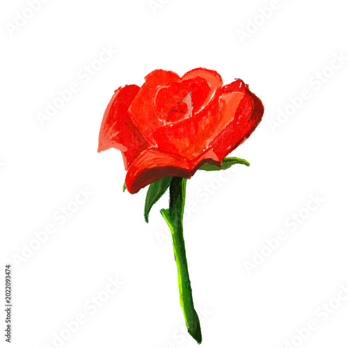 Rose