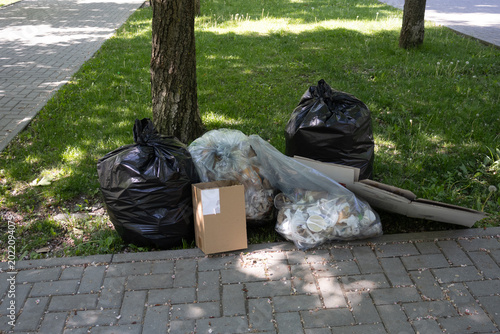 Large black plastic trash bags and cardboard boxes placed on a green lawn next to a park path, waiting for waste management pickup