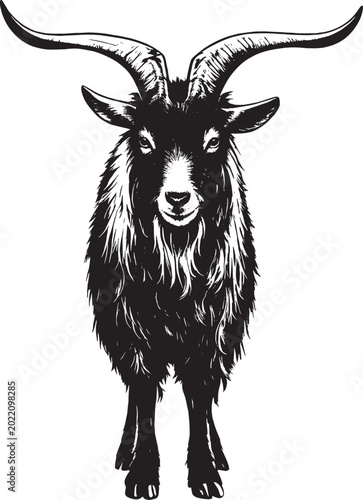 Stylized goat head vector portrait. Hand-drawn vintage engraving style black and white domestic goat illustration with horns isolated on white background.