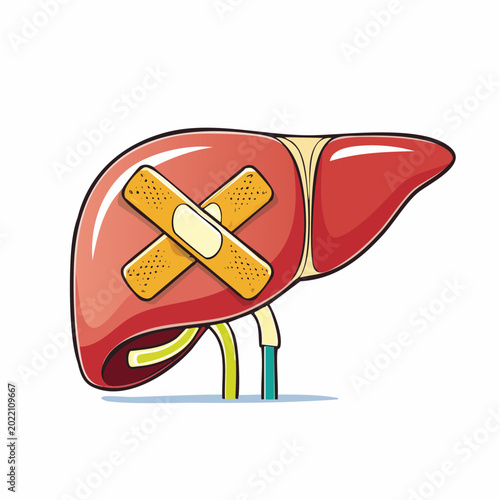 Cartoon Liver with Band-Aids