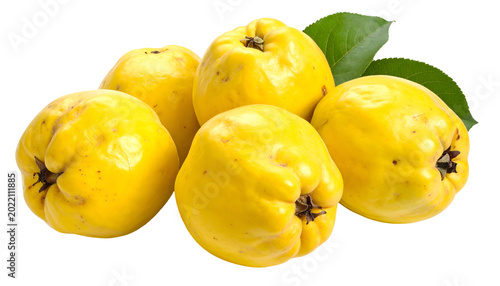 Group Of Ripe Yellow Quinces With Green Leaves Isolated White Background