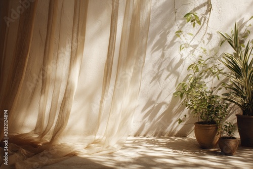 Sunlight bathes beige sheer curtains & plants against a textured white wall, creating shadows