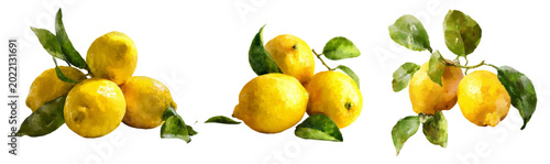 Photography Fresh watercolor lemons and green leaves art composition, representing organic c