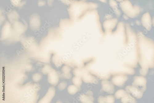Leaf shadow and light grey background. Nature tropical leaves plant tree branch shade sunshine on wall. Sunlight on white wall texture for background wallpaper, shadows overlay effect foliage mockup