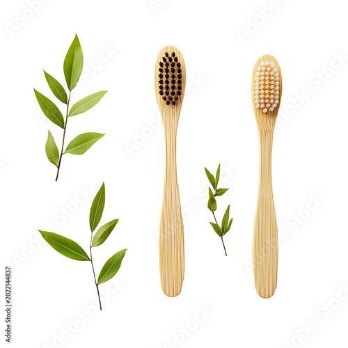 Bamboo toothbrush, an eco-friendly product, sustainable lifestyle, isolated on a transparent background
