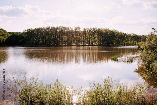 Fotografia Lake surrounded by reeds, the picture is taken from below and shows the immensity of the lake and the height of the reeds