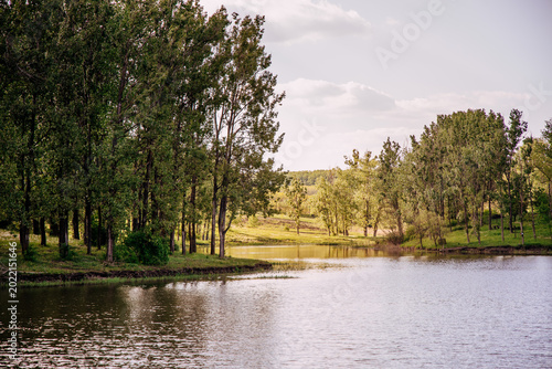 A calm lake with lush green trees along one shore, their reflections shimmering softly on the clear water under natural sunlight.