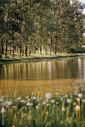 Vertical photo with lovely nature: trees, lake and dandelions.
