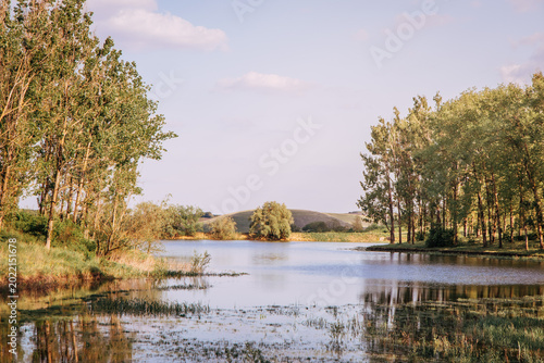 A serene lake surrounded by lush green trees on both sides, with the calm water beautifully reflecting the trees and creating a peaceful natural landscape.