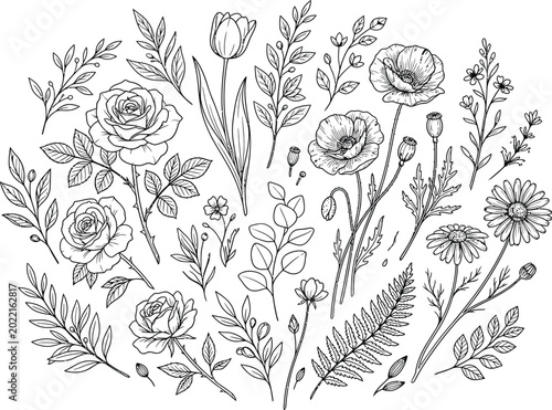Hand-Drawn Black and White Wildflower and Botanical Line Art, Floral Sketches with Leaves, Ferns, and Roses, Vector Clipart Collection on White Background
