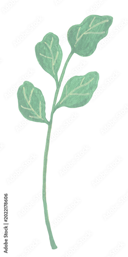Obraz premium Vintage green leaf stem with long narrow leaves gouache illustration