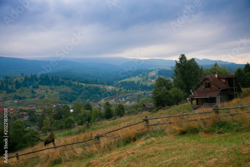 Picturesque mountain landscape. Ukrainian Carpathians. A cozy village lies in the valley below, surrounded by rolling green hills and misty mountain peaks. Bright traditional houses and untouched