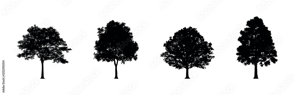 Fototapeta premium Collection of four distinct tree silhouettes against a white background