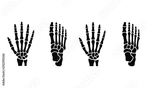 Skeleton Hand and Foot Silhouette Set Isolated on White