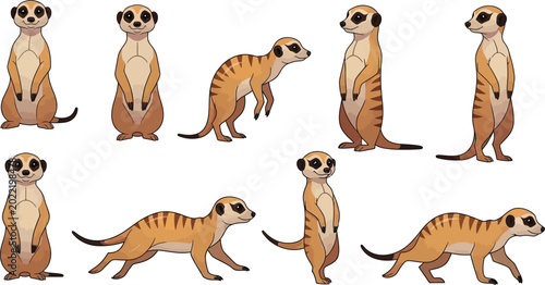 Photography Set of cute desert meerkat vector illustrations in various standing and crawling