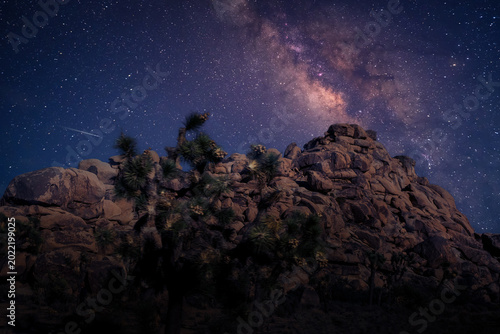 night sky and stars, The Milky Way over Joshua Tree National Park