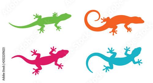 lizard silhouettes in vibrant colors on a white background