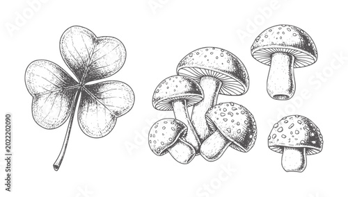 Foto Hand drawn clover leaf and cluster of mushrooms in style shamrock fungi
