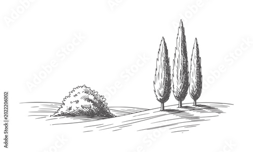 Quadro em tela Of three tall cypress trees and a bushy shrub rolling hills