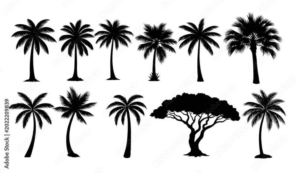 Obraz premium Modern tropical palm tree collection with black silhouette vector design