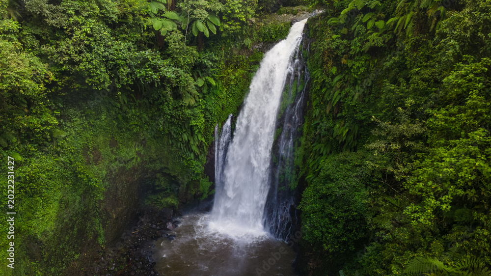 Fototapeta premium Aerial view of Beautiful Gomblang Waterfall in the middle of forest, Java, Indonesia. Dense waterfall with lush vegetation 