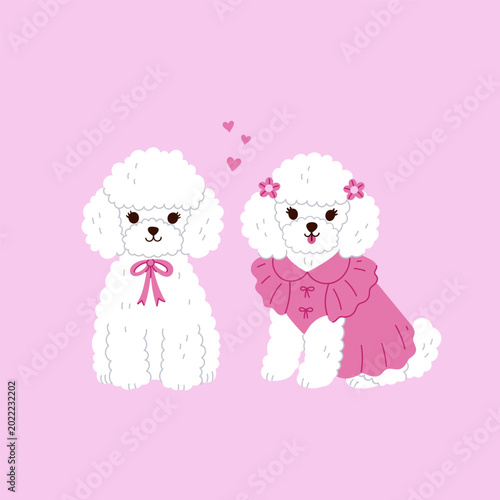 Two cute white mini poodles on a pink background. Vector graphics.