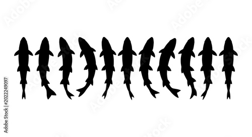Photos School of Fish Silhouettes, Aquatic Life Animation Sequence, Underwater Marine A