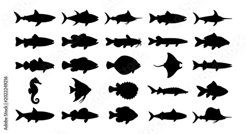 Konstfotografi Diverse Aquatic Life Silhouettes: 30 Vector Icons of Marine Animals, Fish Specie