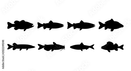 Photos Diverse Fish Silhouettes Collection, Aquatic Animal Icons, Seafood Vector Graphi