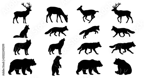 Photography Wild Animal Silhouettes Collection: Deer, Fox, Wolf, Bear Vector Icons for Natur