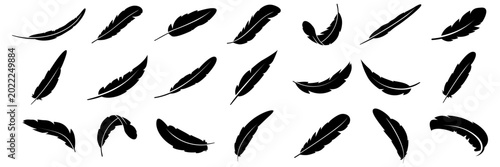 Valokuva Black feather silhouettes floating in air, representing lightness and freedom