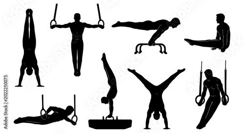 Foto Gymnastics Silhouettes Collection: Athletic Poses on Rings, Pommel Horse, and Fl
