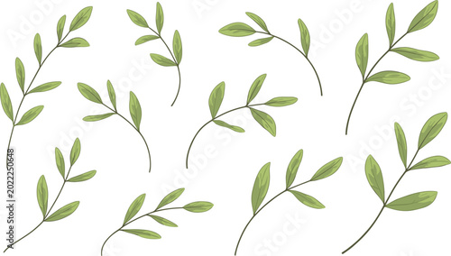 Photos Minimal green leafy branches vector collection, elegant botanical foliage illust