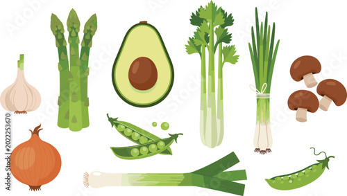 Quadro su tela Fresh Green Vegetable Icon Set with Avocado, Asparagus, Celery, Peas, Garlic, Mu