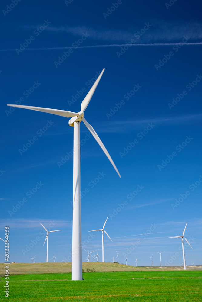Fototapeta premium Windmills for renewable electrical energy production