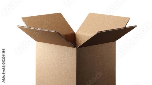 Empty brown cardboard box with open flaps ready for packing