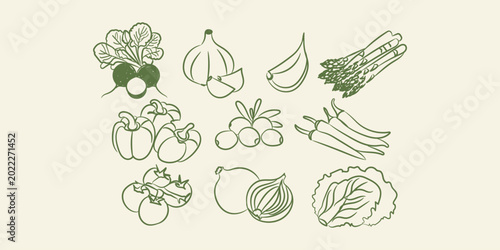 Vegetables set green naive sketch vector illustration of fresh organic farm food collection