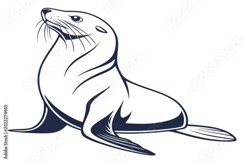 Photography White Background Vector File