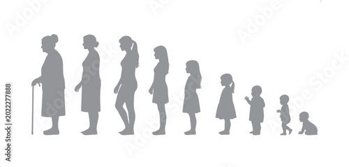 Bild auf Leinwand Aging process of a woman from infancy to old age vector silhouette